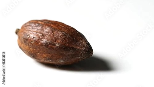 Wallpaper Mural Examining Single Brown Pod on White Background Close Up Torontodigital.ca