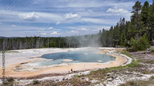 Yellowstone National Park in July 2025, Geysers, Lake, Animals, Canyon