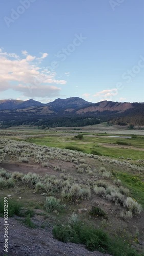 Yellowstone National Park in July 2025, Geysers, Lake, Animals, Canyon