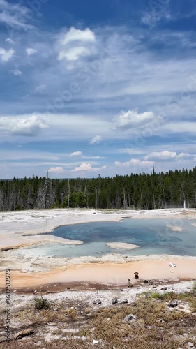 Yellowstone National Park in July 2025, Geysers, Lake, Animals, Canyon