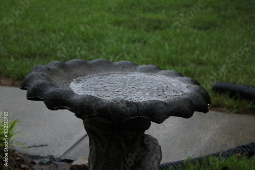 Birdbath on a rainy day

