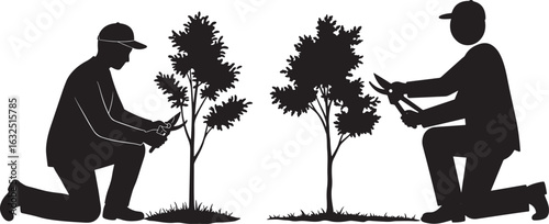 Two gardeners pruning trees silhouette