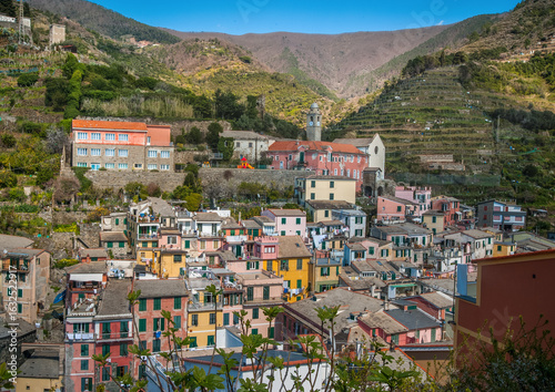 Vernazza in Cinque Terre, with brightly houses among vineyards