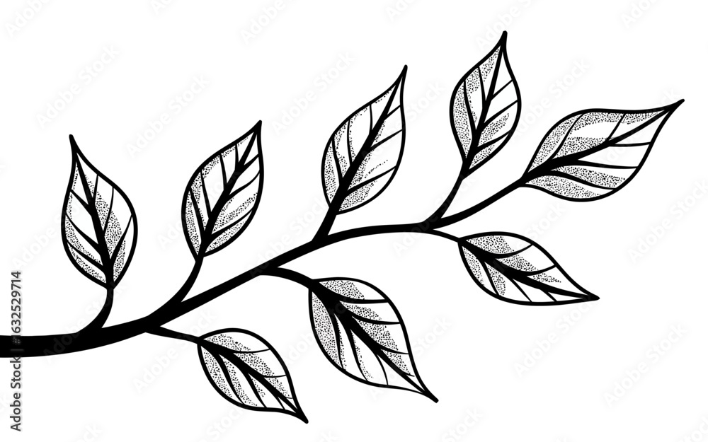 Fototapeta premium Elegant hand drawn botanical branch with leaves