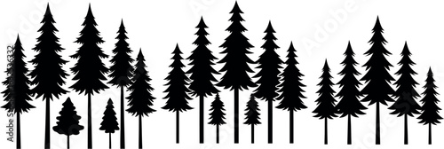 Silhouetted Forest Panorama: Captivating silhouette of a tranquil forest, with slender evergreen trees, presenting a monochromatic scene of nature's enduring charm.