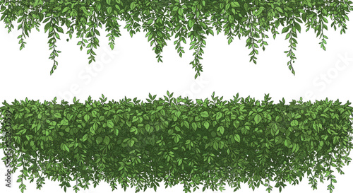 Lush green foliage dividers on white background for nature designs