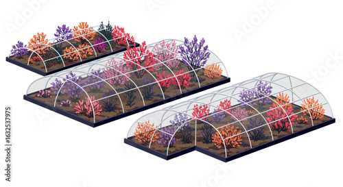 Colorful floral greenhouses with transparent domes in isometric design