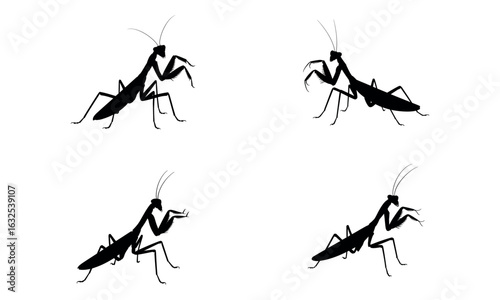 Silhouettes of praying mantis insects in various poses for nature and science designs
