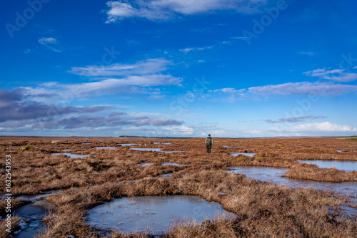 Alone through winter frozen peat bog landscape with snow and mountains