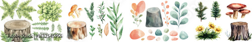 The set includes a collection of watercolor illustrations depicting leaves from wood and other elements found in nature