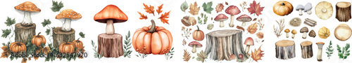 This set contains watercolor illustrations of autumn leaves, a mushroom, and a pumpkin