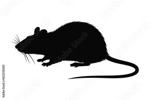 Black silhouette of a rat on a white background