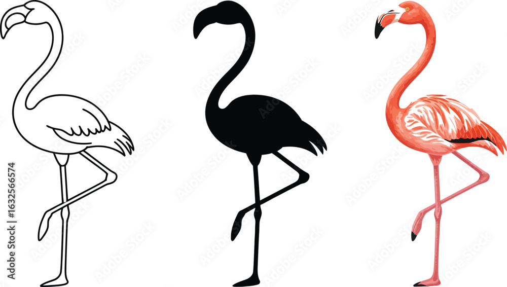 Obraz premium Elegant flamingo designs line art silhouette vibrant color options