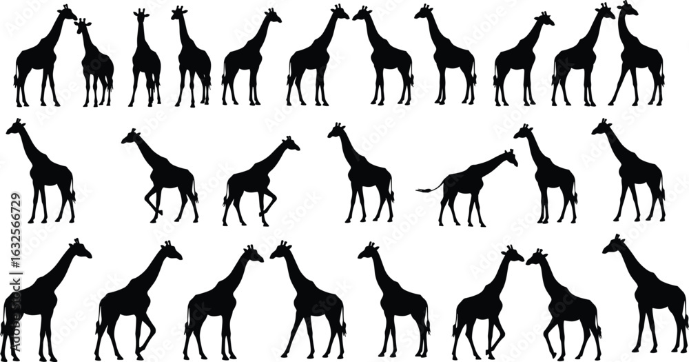 Naklejka premium Twenty giraffe silhouettes arranged in rows, standing and interacting poses, black vector on white background, wildlife symmetry, animal illustration artwork