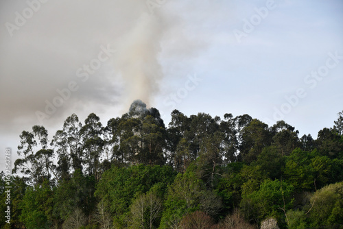 Início de incêndio