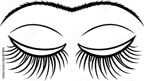 Eyes lashes brows beauty makeup closed vector line art illustration