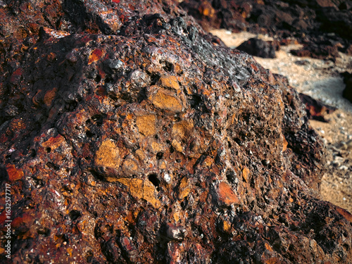 lichen on rock