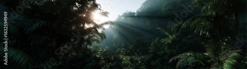 360° hdr view of misty jungle sunrise