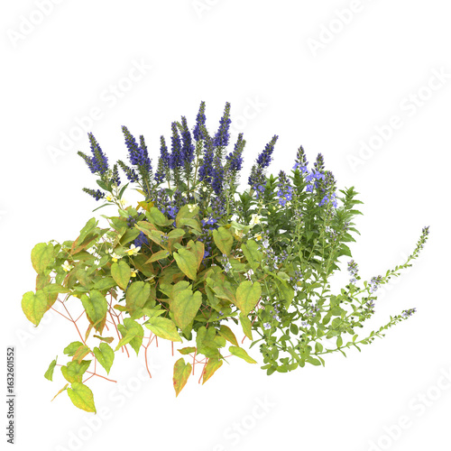 Various types of flowers grass bushes shrub and small plants isolated