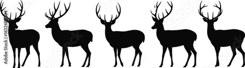 Deer silhouette vector set, antler variation profile, wildlife animal design, side view illustration, nature study graphic, artistic deer artwork