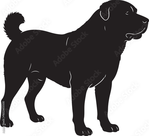 Majestic alabai central asian shepherd dog silhouette art