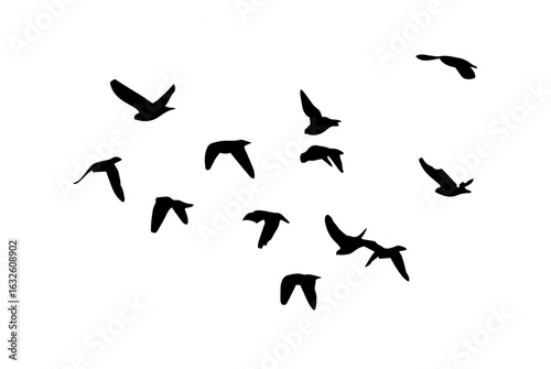 Flying birds silhouette flock. hand drawing. Not AI. Vector illustration.