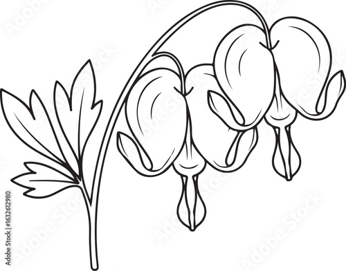 Elegant black line art of a bleeding heart flower with delicate, heart-shaped blossoms and a single leaf.
