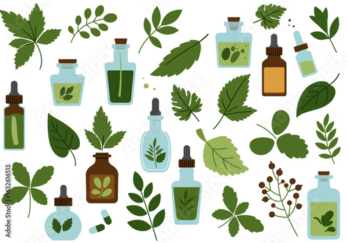 Botanical illustrations green leaves brown and blue bottles pipettes and capsules on a white background