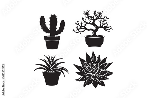 Four potted silhouette plants including cactus and succulents