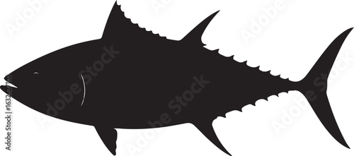 Majestic albacore tuna in a striking silhouette design