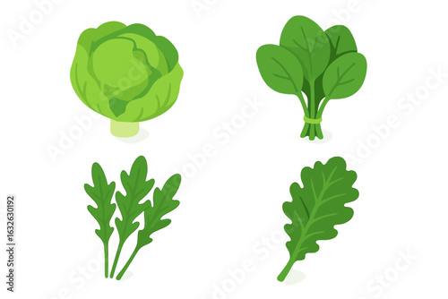 Fresh salad greens isometric icon set. Flat vector illustration of lettuce, spinach, arugula, kale leaf. Healthy organic food, vegan diet, vegetarian meal ingredient.