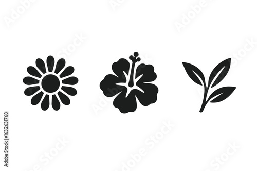 Black Herbal Tea Ingredient Icons Set. Solid Vector Illustrations of Chamomile Flower, Hibiscus Bloom, Rooibos Leaf. Herbal Drink Elements, Floral Silhouettes, Tea Ingredients, Isolated Clipart