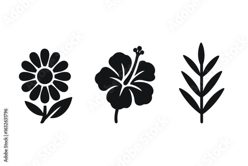 Traditional herbal tea icons set with solid, filled chamomile flower, hibiscus bloom, rooibos leaf vector illustrations, natural herbal infusions, organic tea symbols