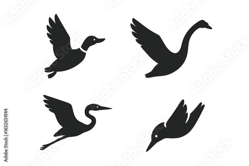 Water birds silhouette vector icons set. Flying duck ascent, soaring swan, gliding heron, diving kingfisher, graceful egret. Bird in flight shapes collection for lake, river, wetland design
