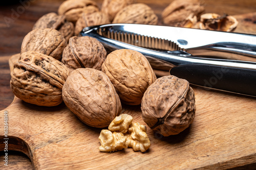 Walnuts nuts, cultivation of AOP walnuts in Perigord, Dordogne, France