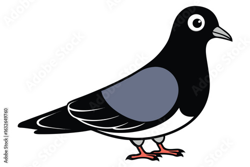 Pigeon Bird Cartoonish Style Standing On White Background Art