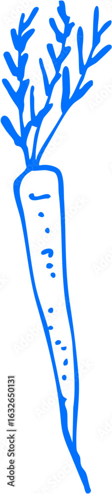 Obraz premium A carrot vector illustration 