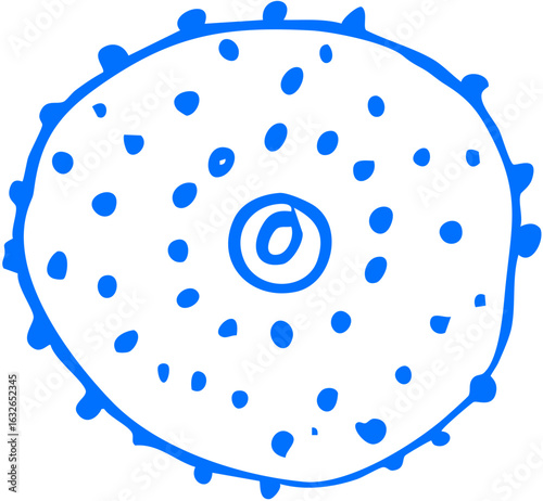 A fruit slice showing radial pattern and seed texture, exotic fruit sketch