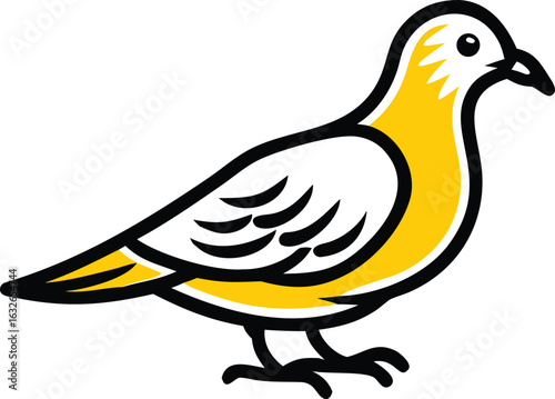 Pigeon Yellow Accents Bird Isolated on White Background