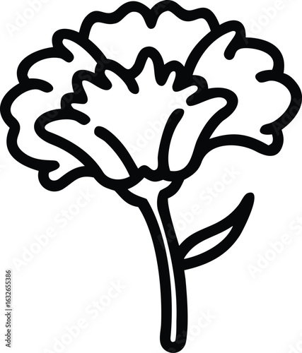 Single carnation flower stands elegantly with detailed lines on a white background