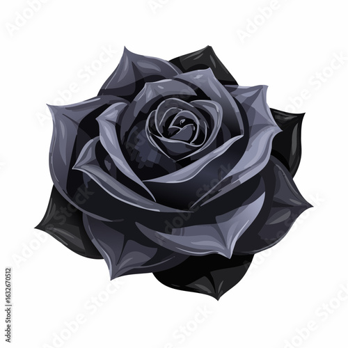 Schwarze Rose