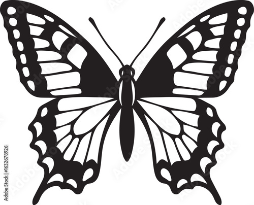 Intricate wing butterfly design black and white, Elegant insect vector with patterns