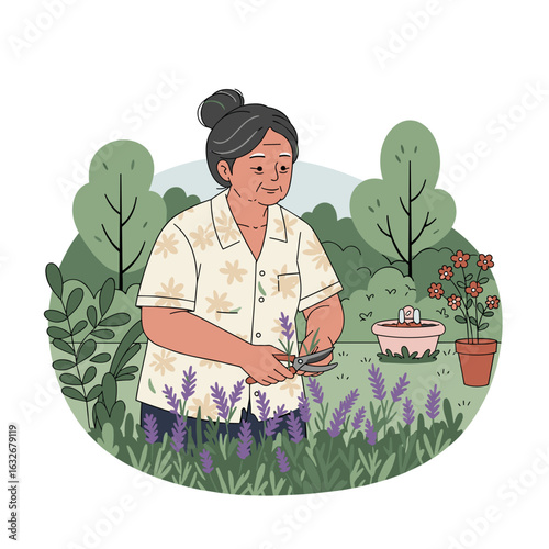 Elderly woman gardening and trimming lavender plants in backyard  