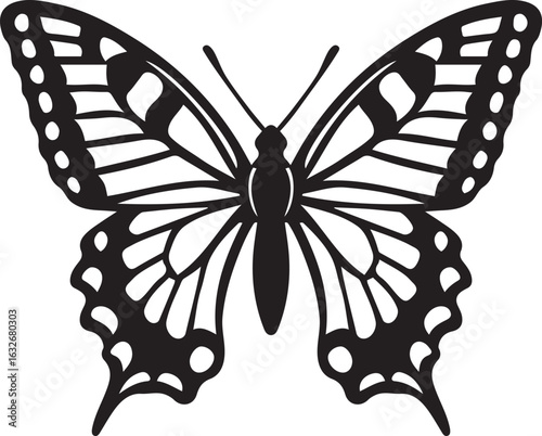Detailed butterfly graphic insect animal, Black and white butterfly line illustration