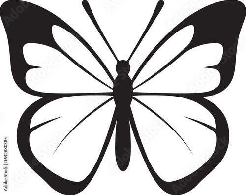Outline butterfly graphic black and white, Minimal insect design line silhouette