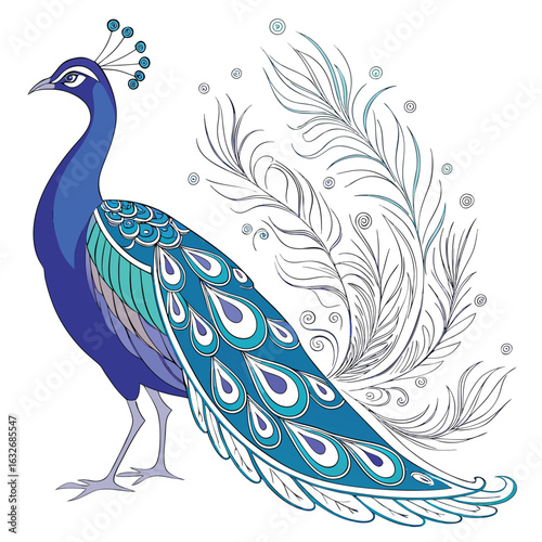 Elegant blue and teal peacock displaying its magnificent tail feathers silhouette