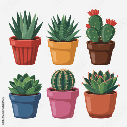 Colorful Succulent and Cactus Plants in Decorative Pots