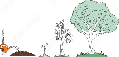 Plant Growth Stages Watering to Tree Maturity, Flat CAD Vector Illustration Design