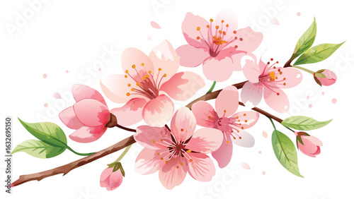 Watercolor depiction of a blooming cherry blossom branch with pink flowers and leaves.