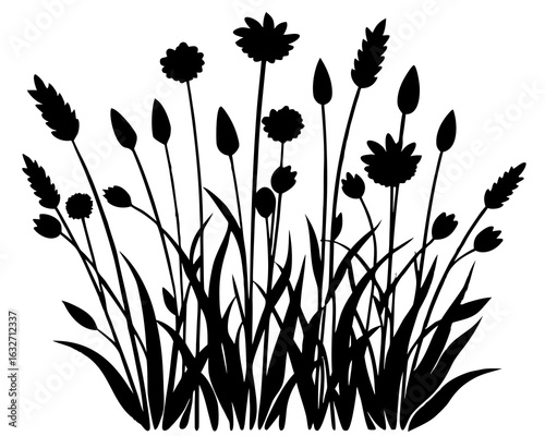 Black silhouette of tall grass and wildflowers on a white background vector illustration